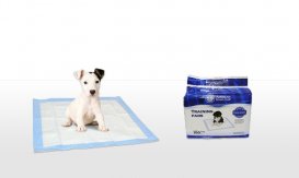 100-Pack of American Kennel Club Puppy-Training Pads | Groupon