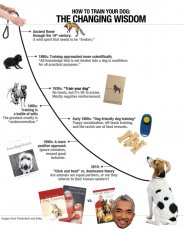 Cesar Millan and the history of dog training