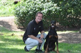 Home Dog Training Leesburg VA, Fairfax, Winchester