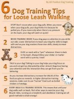 Loose Leash Dog Training http://.poochportal.com/how-to-train