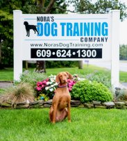 New Jersey Dog Training | Nora s Dog Training Company