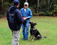 Professional Dog Trainers Tampa Florida |All Breed Pet Obedience