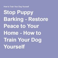 Stop Puppy Barking - Restore Peace to Your Home - How to Train