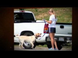 The Dog Training Secret Reviews From Youtube - Download mp3 Music