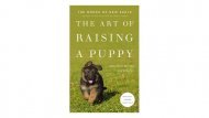 dog training, best dog training books, best dog training resources, dog training books, dog obedience, dog separation anxiety, puppy training, dog housebreaking, housebreak dog, housebreak puppy, crate training