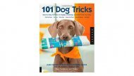 dog training, best dog training books, best dog training resources, dog training books, dog obedience, dog separation anxiety, puppy training, dog housebreaking, housebreak dog, housebreak puppy, crate training