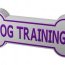 dog training info