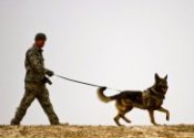 How to train K9 dogs?