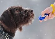 Pet training methods
