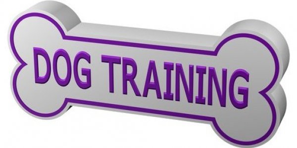Training