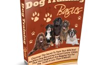 Dog training basics