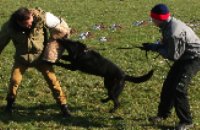 Police dogs training methods