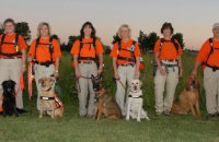 Rescue dogs training