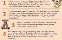 training tips for dogs