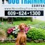 New Jersey dog training
