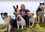 Cesar Millan trainers