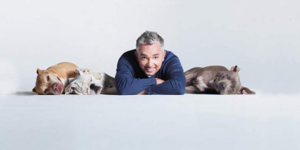 Training