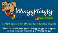 WaggTagg is new way to help find your dog if he goes missing.